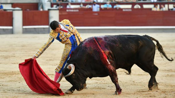 Emilio de Justo toreando a Duende en Las Ventas en www.cultoro.es